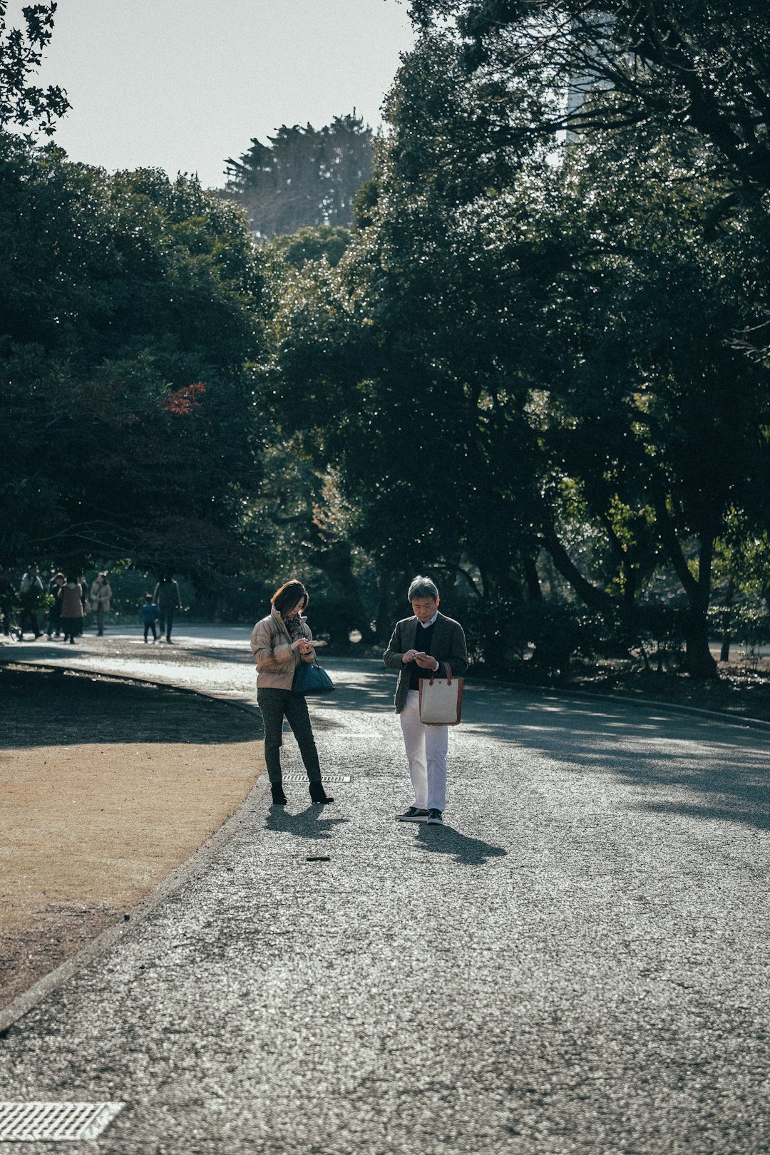 elderly people exercising outdoors